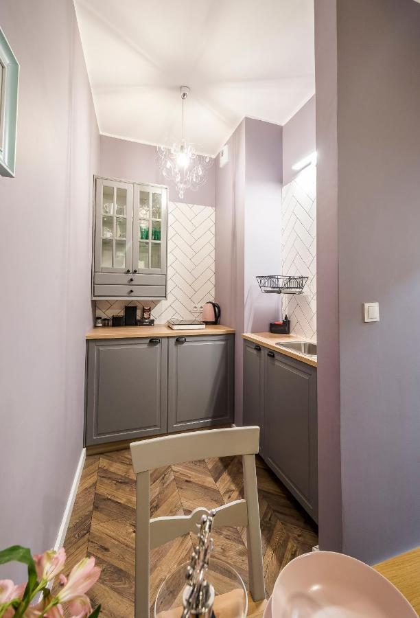 Apartament Z Ogrodkiem I Garazem Poznań Eksteriør billede